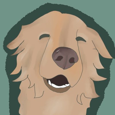 Pet Portraits